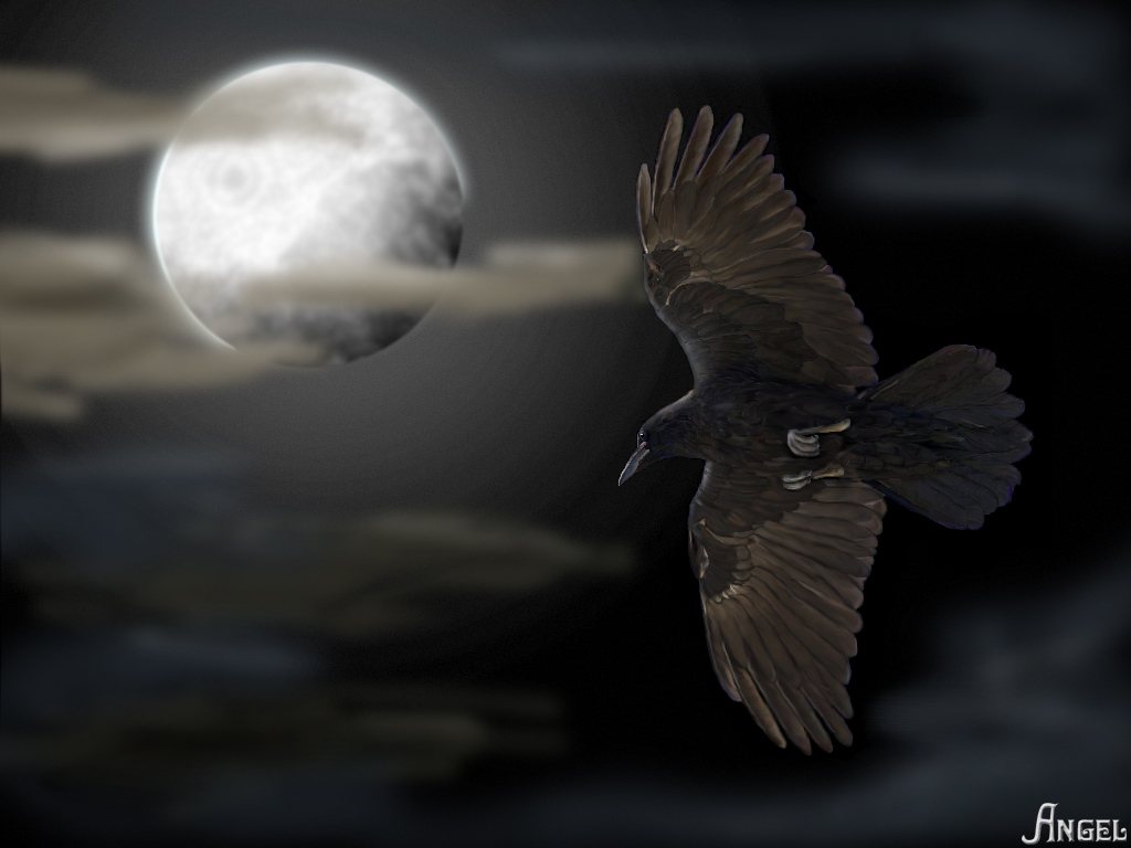 http://aria-angel.narod.ru/raven_moon.jpg
